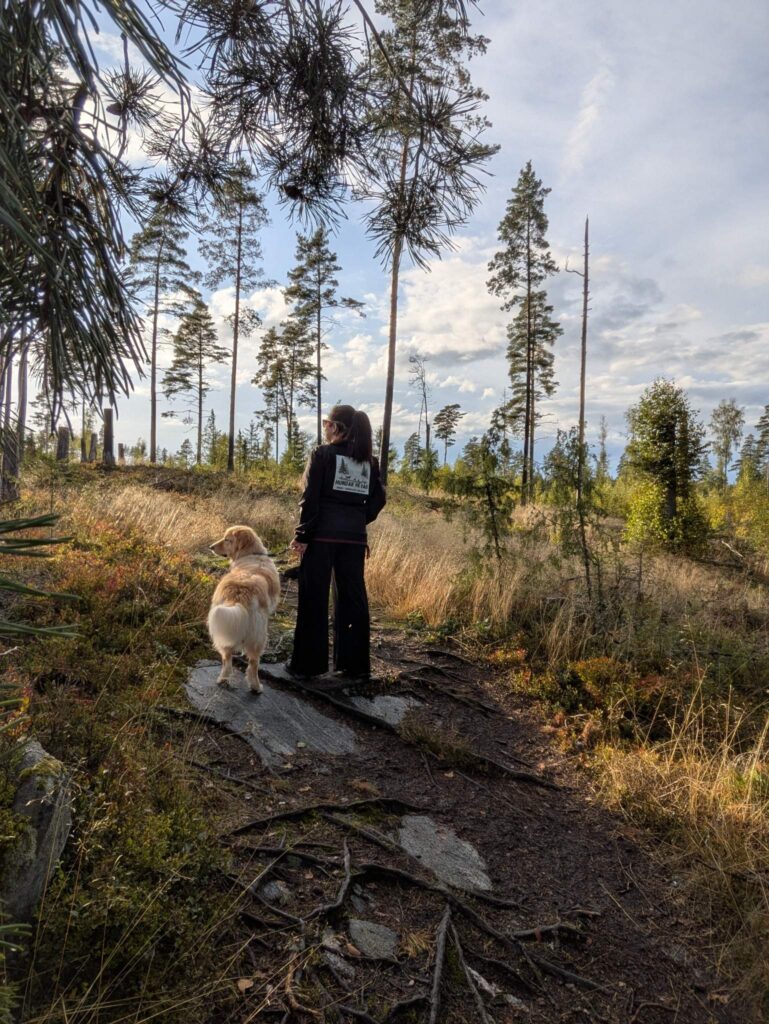 hunddagis i karlstad