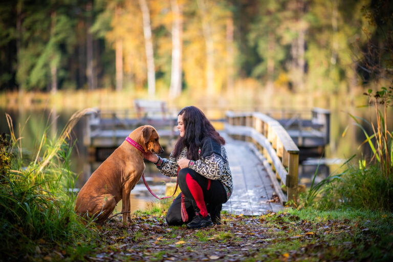 Hundrastning i karlstad, dogwalker i karlstad
