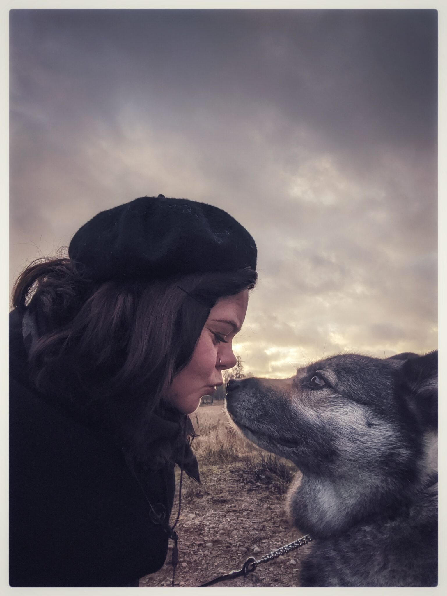 IMG 20191211 131704 01 1536x2048